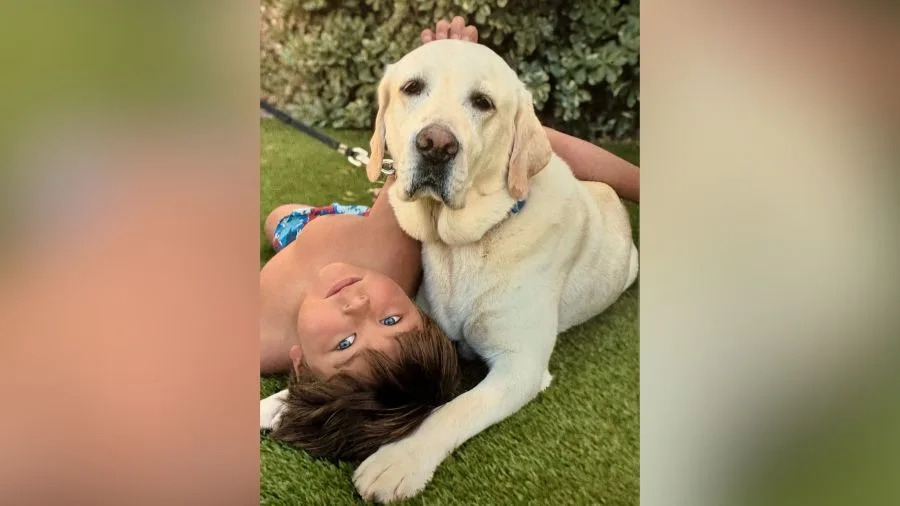 A young boy, Maxwell, is seen here with his father in a photo provided after his tragic death on Aug. 31, 2025. (GoFundMe)