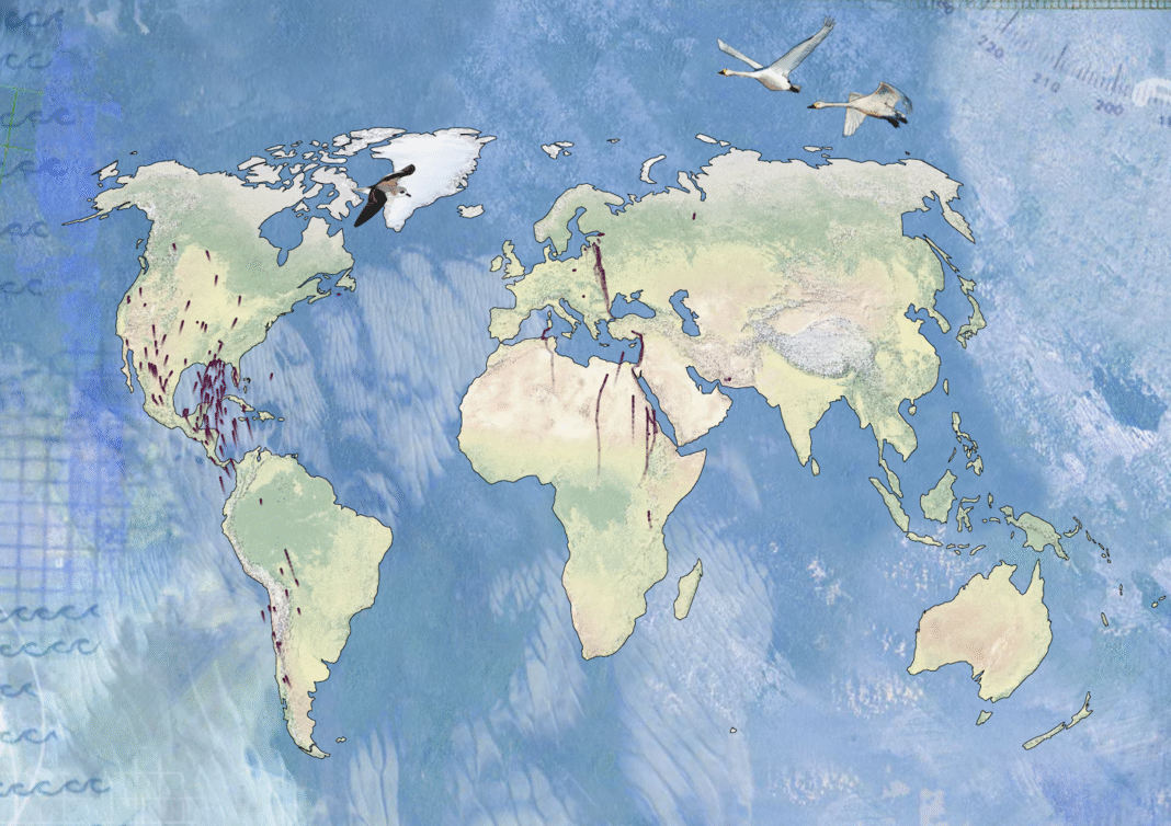 Bird-migration-flight-paths-shifting-with-climate-–-FlowingData.png