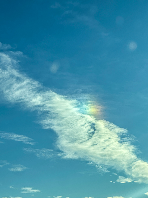 My Everyday Life Week 52 of 2024- Tracy Benjamin of Shutterbean.com