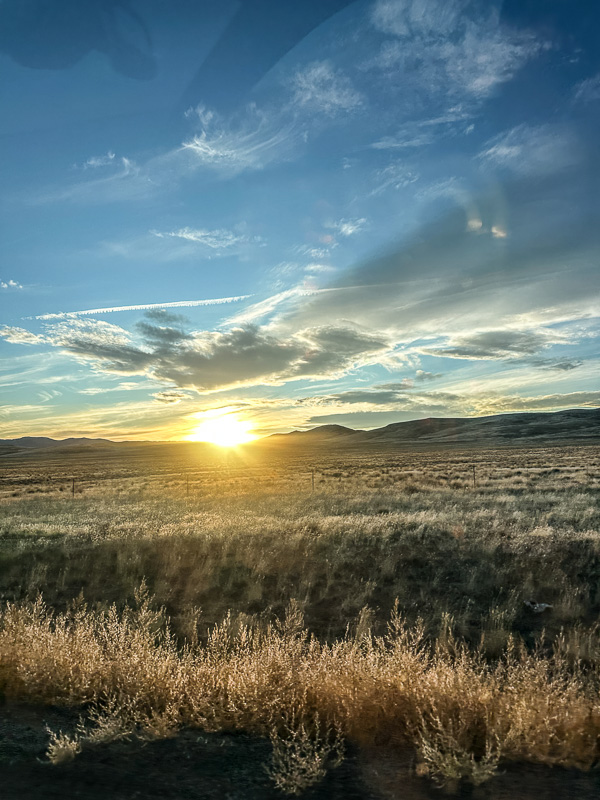 My Everyday Life Week 52 of 2024- Tracy Benjamin of Shutterbean.com