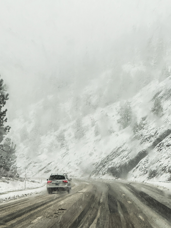 My Everyday Life Week 52 of 2024- Tracy Benjamin of Shutterbean.com