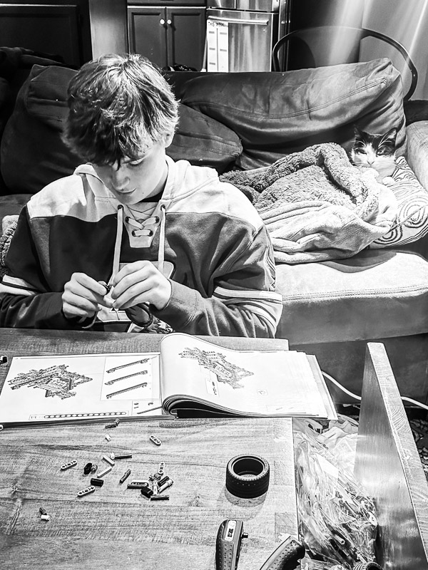 My Everyday Life Week 52 of 2024- Tracy Benjamin of Shutterbean.com