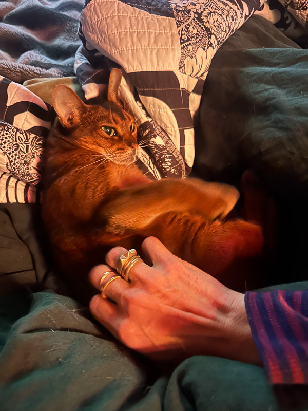 My Everyday Life Week 52 of 2024- Tracy Benjamin of Shutterbean.com