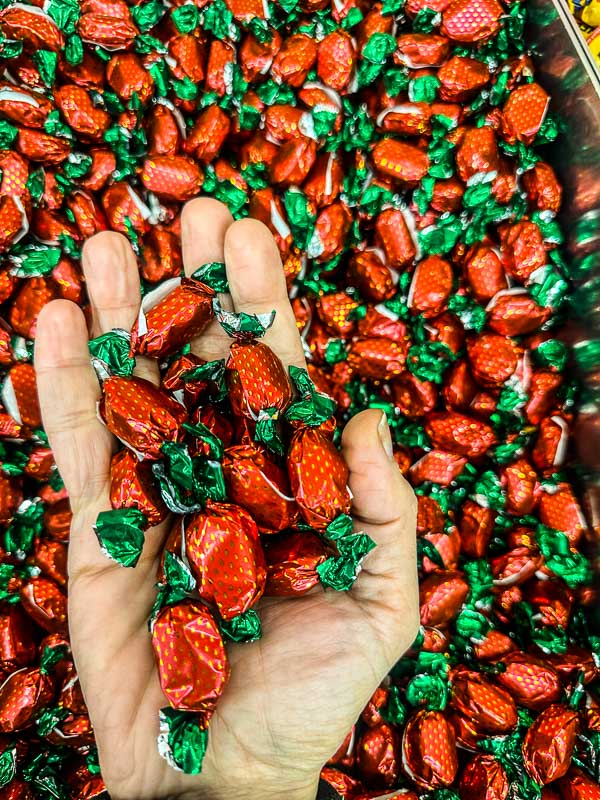 My Everyday Life Week 52 of 2024- Tracy Benjamin of Shutterbean.com