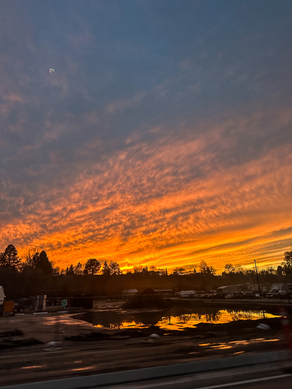 My Everyday Life Week 52 of 2024- Tracy Benjamin of Shutterbean.com